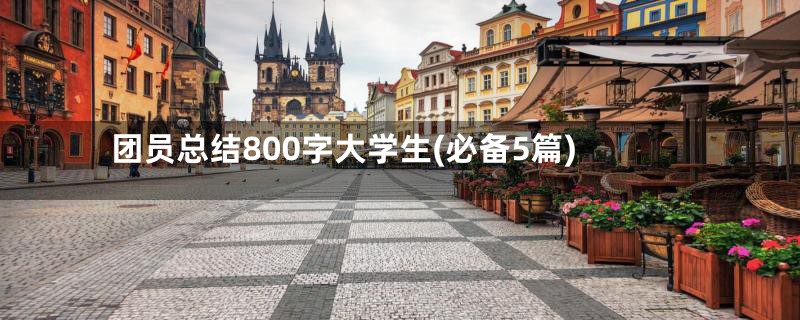 团员总结800字大学生(必备5篇)