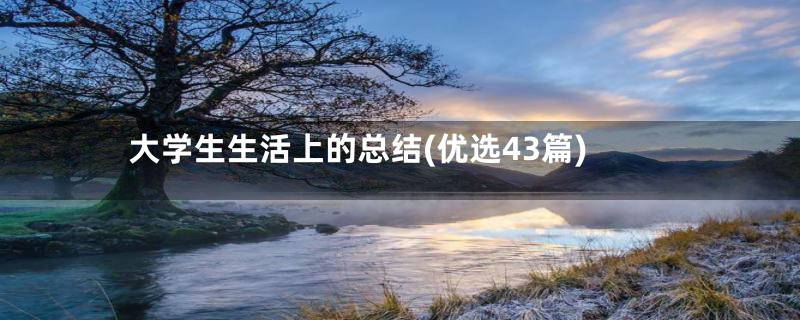 大学生生活上的总结(优选43篇)