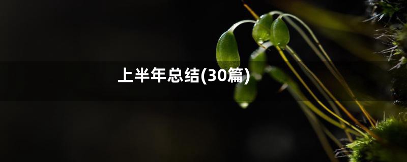 上半年总结(30篇)