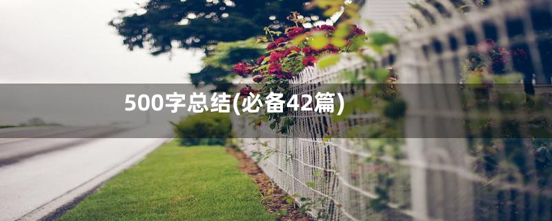 500字总结(必备42篇)