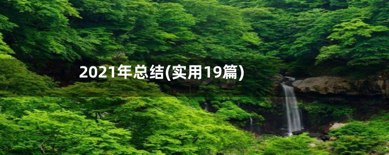 2021年总结(实用19篇)
