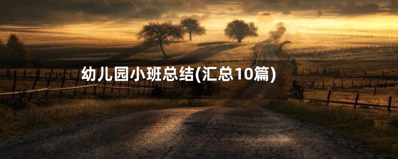 幼儿园小班总结(汇总10篇)