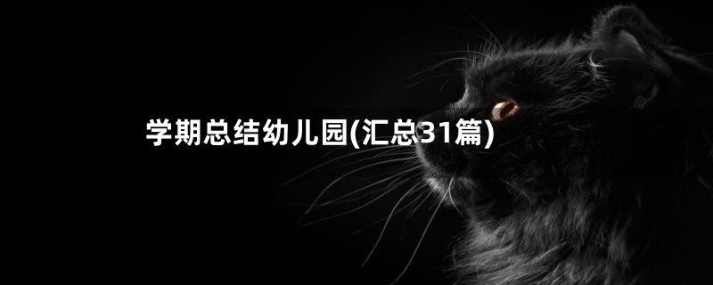 学期总结幼儿园(汇总31篇)