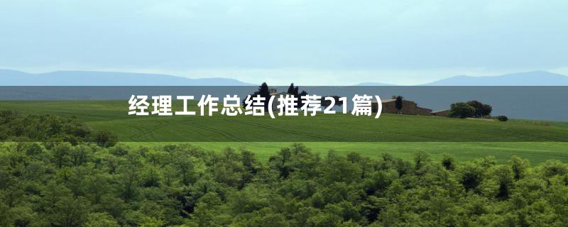 经理工作总结(推荐21篇)
