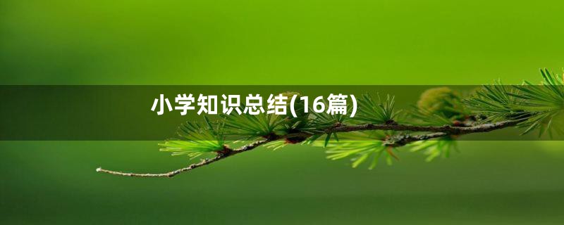 小学知识总结(16篇)