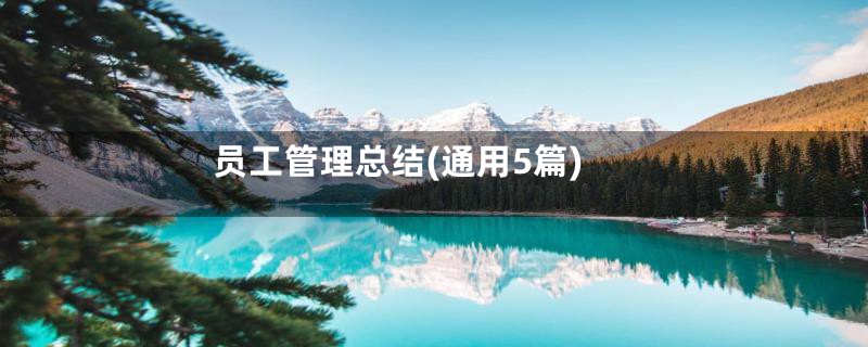 员工管理总结(通用5篇)