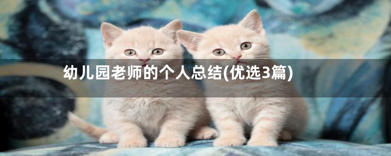 幼儿园老师的个人总结(优选3篇)