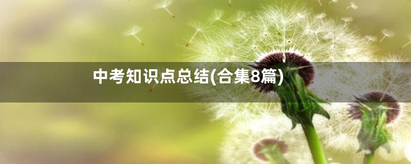 中考知识点总结(合集8篇)