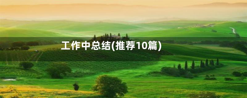 工作中总结(推荐10篇)