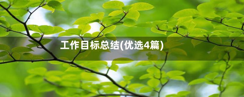 工作目标总结(优选4篇)