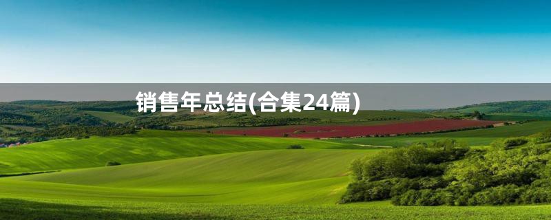 销售年总结(合集24篇)