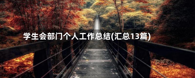 学生会部门个人工作总结(汇总13篇)