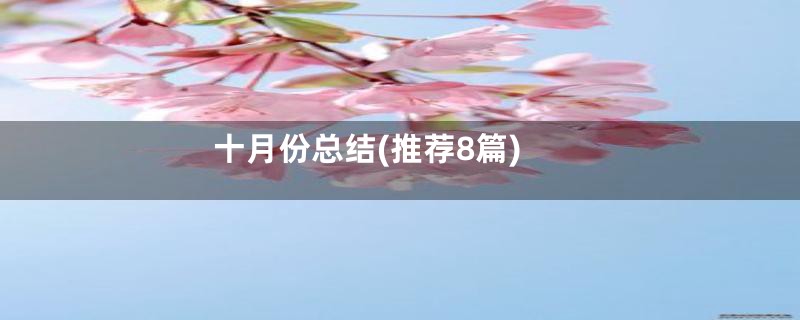 十月份总结(推荐8篇)