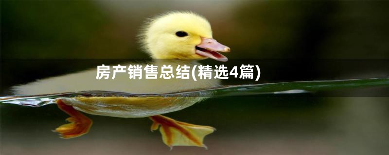 房产销售总结(精选4篇)