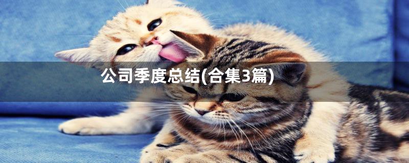 公司季度总结(合集3篇)