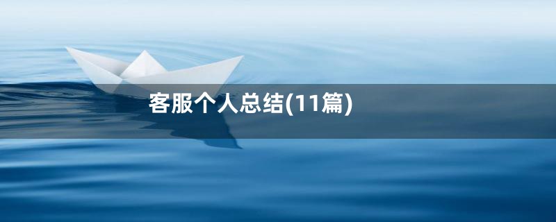客服个人总结(11篇)