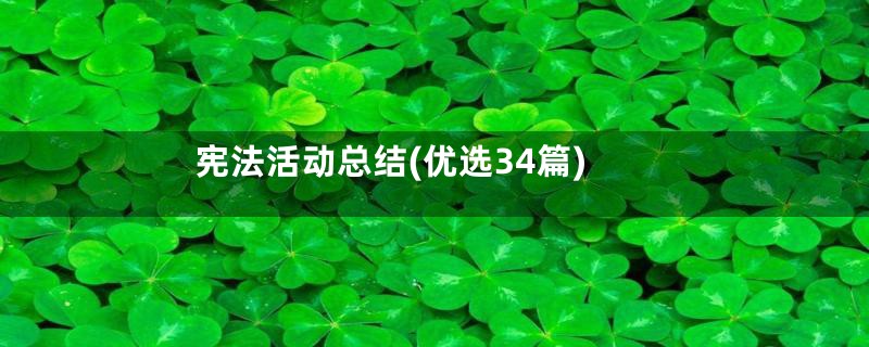 宪法活动总结(优选34篇)