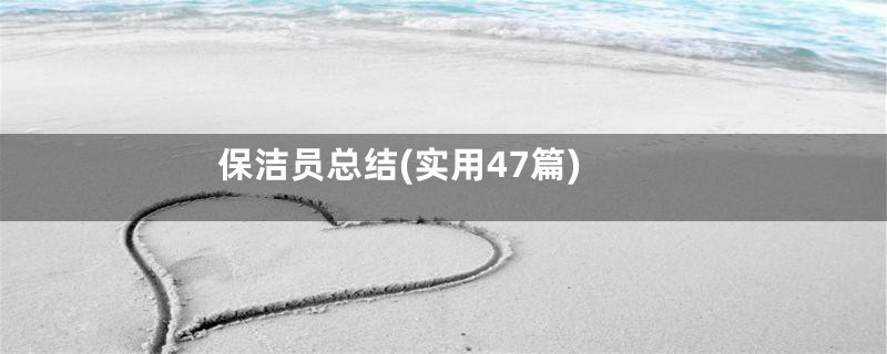 保洁员总结(实用47篇)