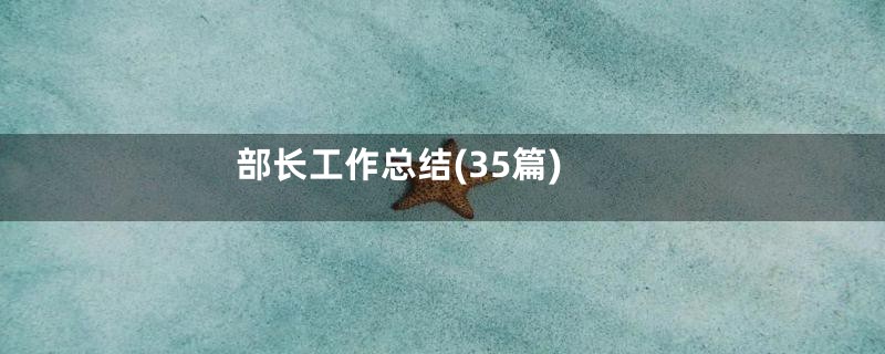 部长工作总结(35篇)