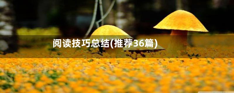阅读技巧总结(推荐36篇)