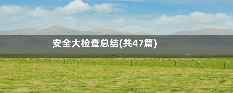 安全大检查总结(共47篇)