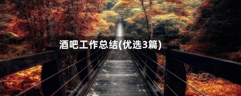 酒吧工作总结(优选3篇)