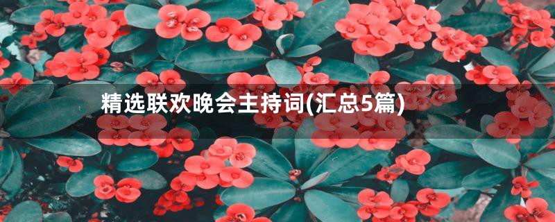 精选联欢晚会主持词(汇总5篇)