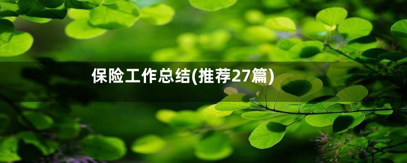保险工作总结(推荐27篇)