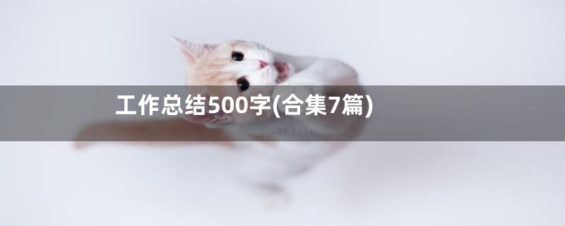 工作总结500字(合集7篇)