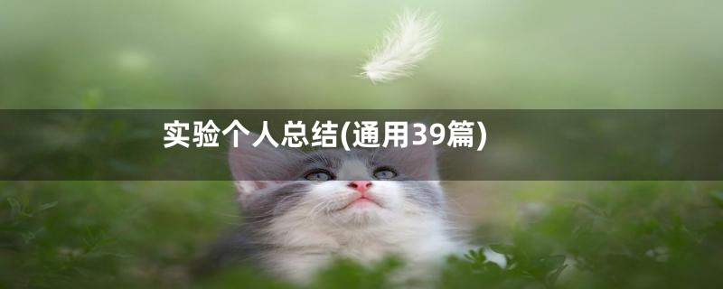 实验个人总结(通用39篇)