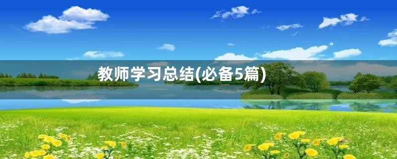 教师学习总结(必备5篇)