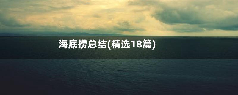 海底捞总结(精选18篇)