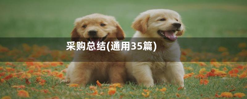 采购总结(通用35篇)