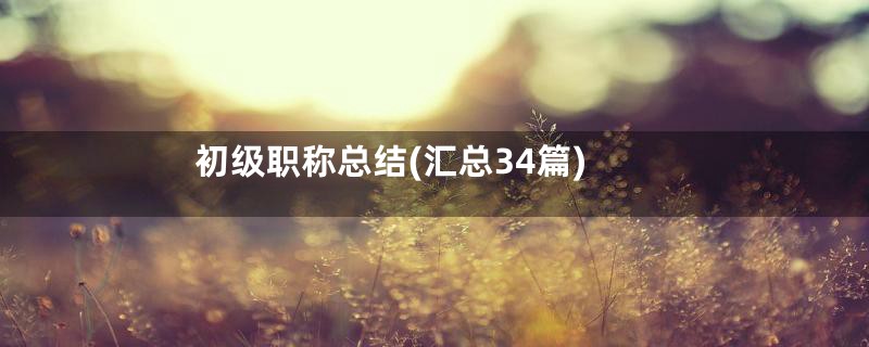 初级职称总结(汇总34篇)