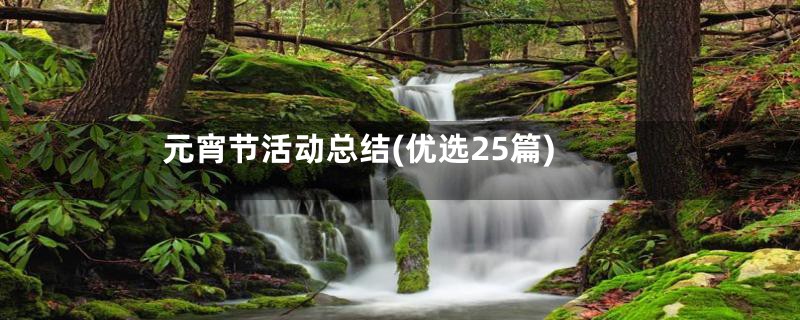 元宵节活动总结(优选25篇)