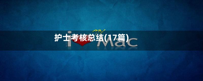 护士考核总结(17篇)