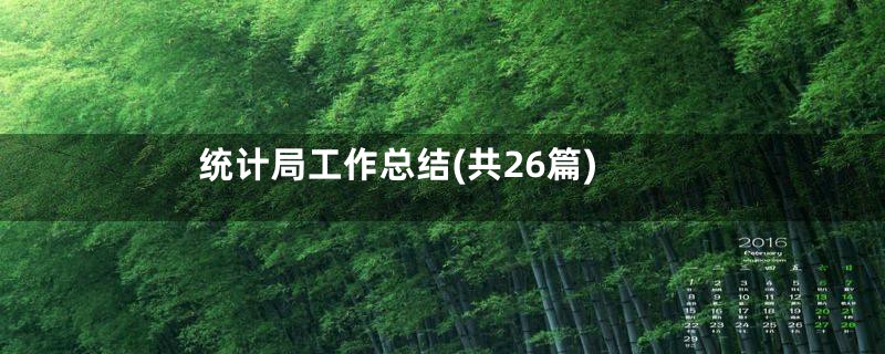 统计局工作总结(共26篇)