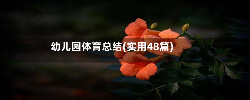 幼儿园体育总结(实用48篇)