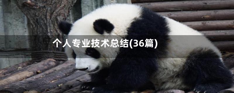 个人专业技术总结(36篇)