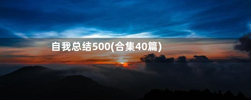 自我总结500(合集40篇)