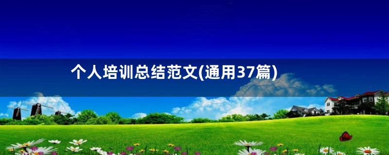 个人培训总结范文(通用37篇)