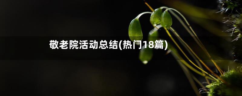 敬老院活动总结(热门18篇)