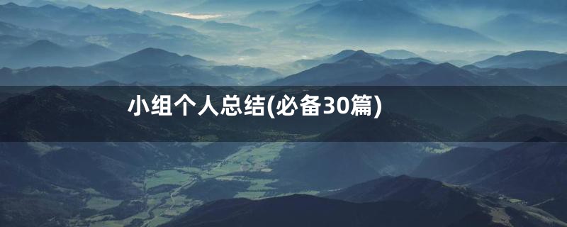 小组个人总结(必备30篇)