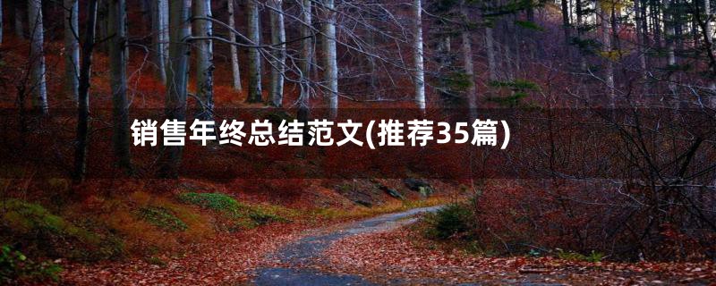 销售年终总结范文(推荐35篇)