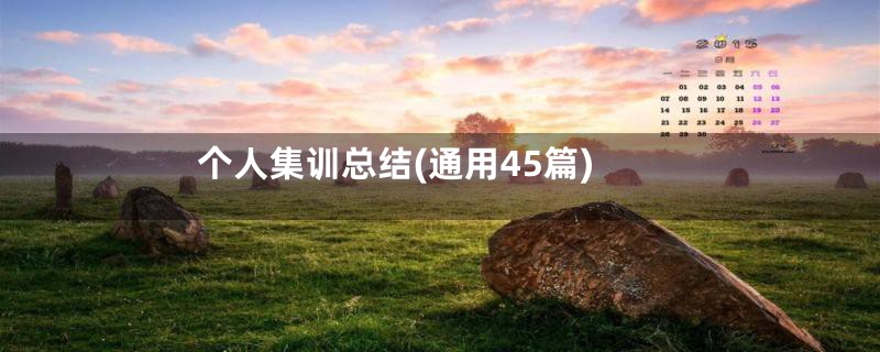 个人集训总结(通用45篇)
