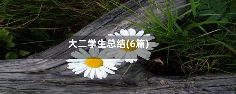 大二学生总结(6篇)
