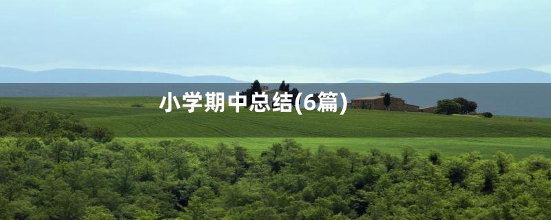 小学期中总结(6篇)