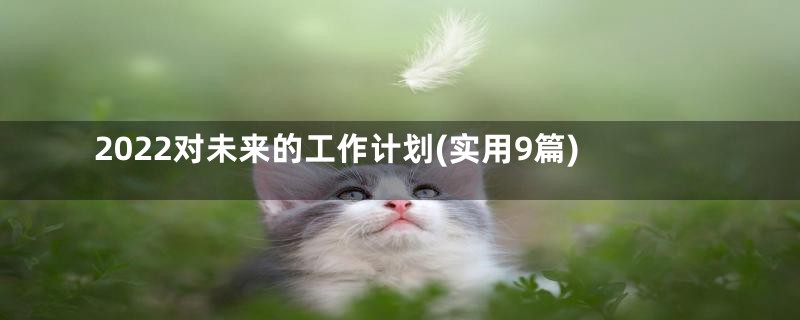 2022对未来的工作计划(实用9篇)
