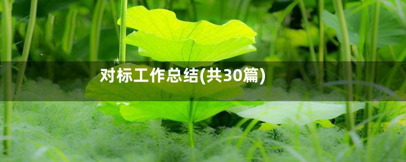 对标工作总结(共30篇)
