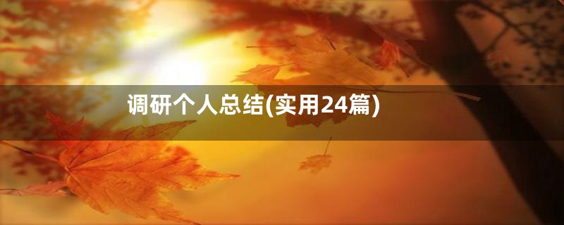 调研个人总结(实用24篇)